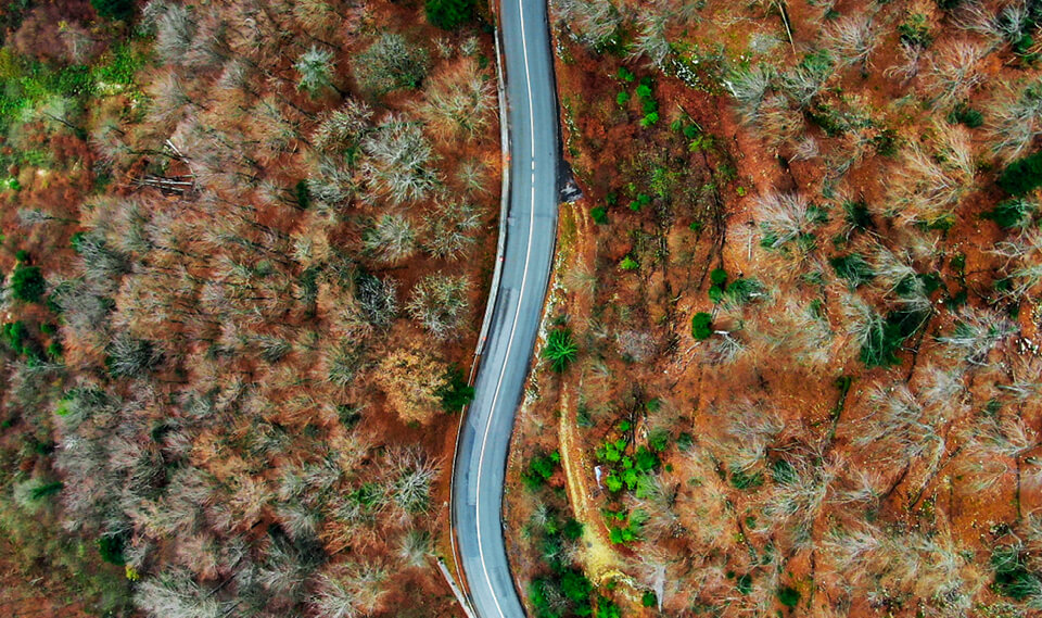 Aerial view of road cutting through forest