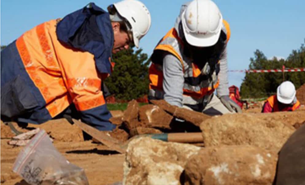 Archaeologists inspecting bones