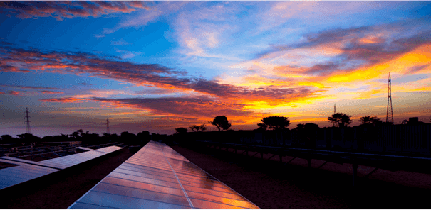 Solar plant in evening light