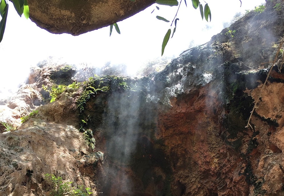 Misty, moss-covered rockface